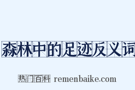 森林中的足迹反义词是什么意思的图片